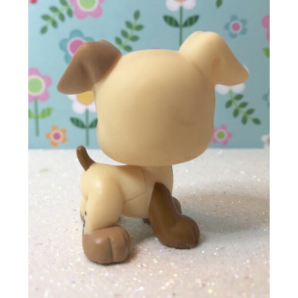 Authentic Littlest Pet Shop # 1516 Tan Brown Boxer Teal Eyes UK Release W Outfit - Picture 3 of 3
